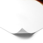 Jennifer Connelly Poster (Hoek)