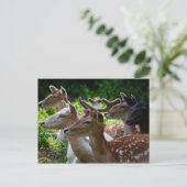 J'entends la carte postale (Debout devant)