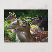 J'entends la carte postale (Devant)