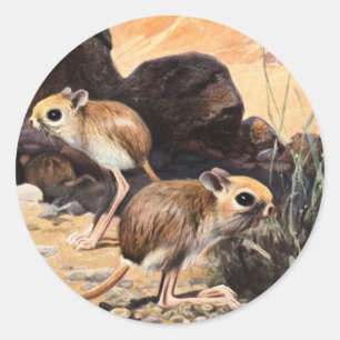 Jerboa T - shirts en Gifts Ronde Sticker