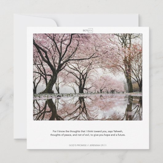 JEREMIA 29:11 GOD'S BELOFTEN SCRIPIX kaart (Voorkant)