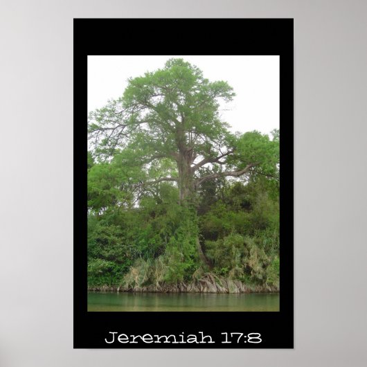 Jeremiah 17:8 poster (Voorkant)