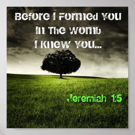 JEREMIAH 1:5 (boom) Poster (Voorkant)