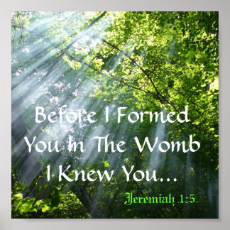 JEREMIAH 1:5 - BOSSEN POSTER