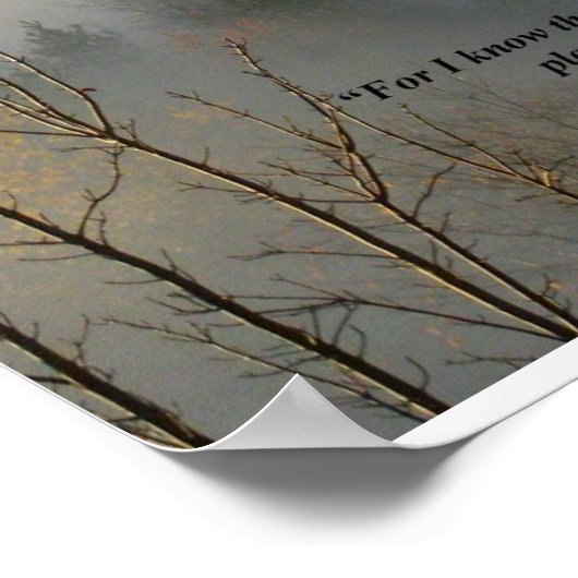 Jeremiah 29:11 Affiche chrétienne (Coin)