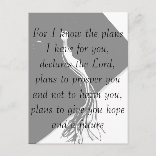 Jeremiah 29:11 Graduation Carte postale (Devant)