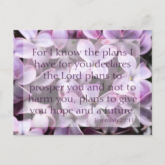 Jeremiah 29:11 Lilacs Carte Postale (Devant)
