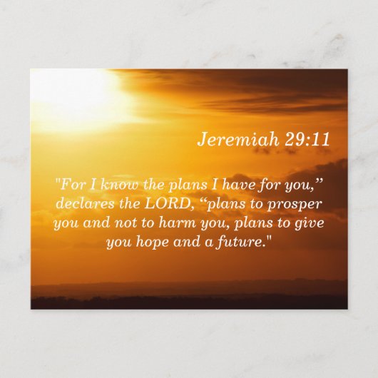 Jeremiah 29 11 Sunset Scripture Carte mémoire (Devant)