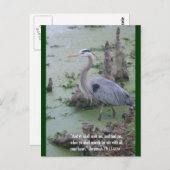 Jeremiah 29:13 Carte postale Écriture (Devant / Derrière)