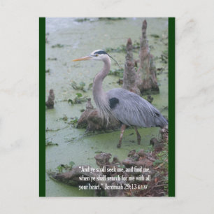 Jeremiah 29:13 het Briefkaart van de Manuscript