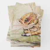“Jeremy Fisher on a Lilypad” by Beatrix Potter Inpakpapier Vel (In situ)