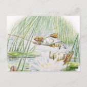 Jeremy Fisher pakt een grote sprong van Beatrix Po Briefkaart (Achterkant)