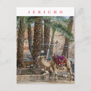 Jericho camel uitzicht briefkaart