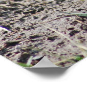 Jerry de muskrat poster (Hoek)