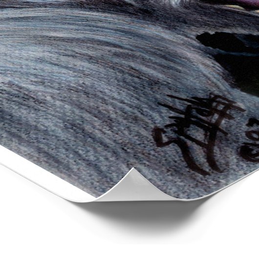 Jersey Devil Poster 2 (Hoek)