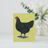 Jersey Giant:  Black Hen Briefkaart (Staand voorkant)