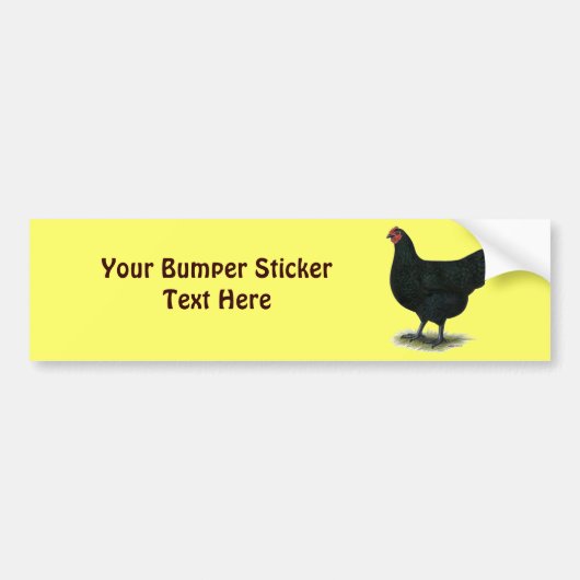 Jersey Giant:  Black Hen Bumpersticker (Voorkant)