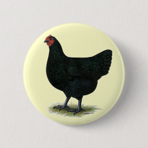 Jersey Giant: Black Hen Ronde Button 5,7 Cm