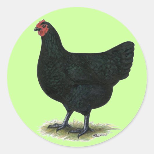 Jersey Giant: Black Hen Ronde Sticker (Voorkant)