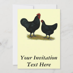Jersey Giant Chickens Kaart