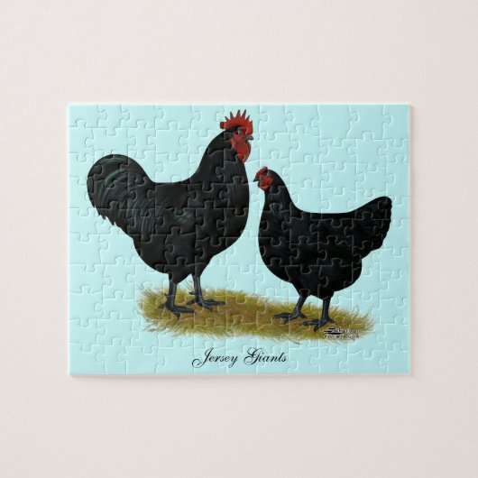 Jersey Giant Chickens Legpuzzel (Horizontaal)