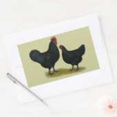 Jersey Giant Chickens Rechthoekige Sticker (Envelop)