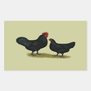Jersey Giant Chickens Rechthoekige Sticker