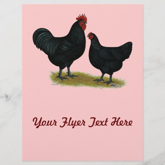 Jersey Giant Kippen Flyer (Voorkant)