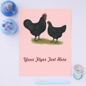 Jersey Giant Kippen Flyer (Enkel)