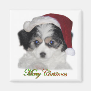 Jersey Santa Kerstmis Magnet Magneet