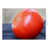 Jersey Tomate 1 (Devant horizontal)