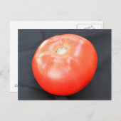 Jersey Tomato 3 Briefkaart (Voorkant / Achterkant)