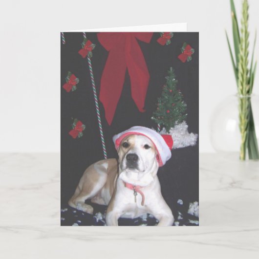 Jerzy-tweede-Kerstmis Feestdagen Kaart (Voorkant)