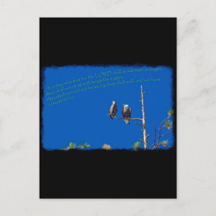 Jesaja 40:31 op zwart briefkaart