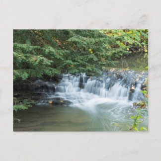 Jesmond Dene Briefkaart