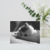 jessy jane - Carte postale (Debout devant)