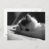 jessy jane - Carte postale (Devant / Derrière)