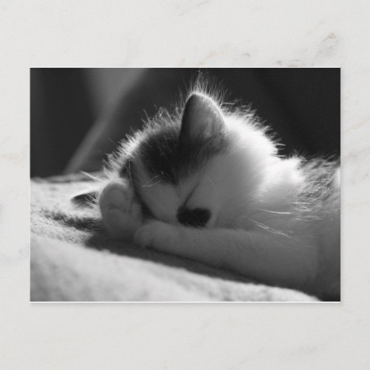 jessy jane - Carte postale (Devant)