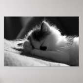 Jessy Jane - Petit poster (Devant)