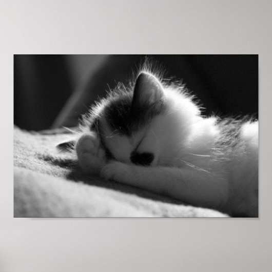 Jessy Jane - Petit poster (Devant)