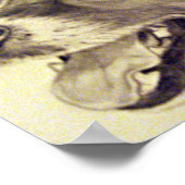 Jester de Jack Russell Terrier Poster (Hoek)