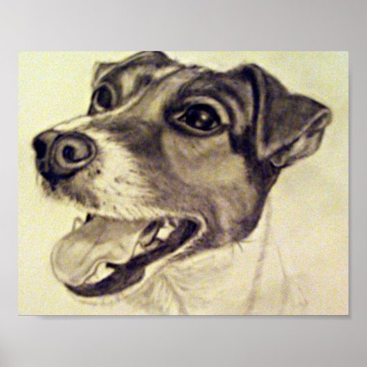 Jester de Jack Russell Terrier Poster (Voorkant)