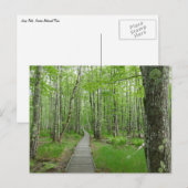 Jesup Path Boardwalk Trail Briefkaart (Voorkant / Achterkant)