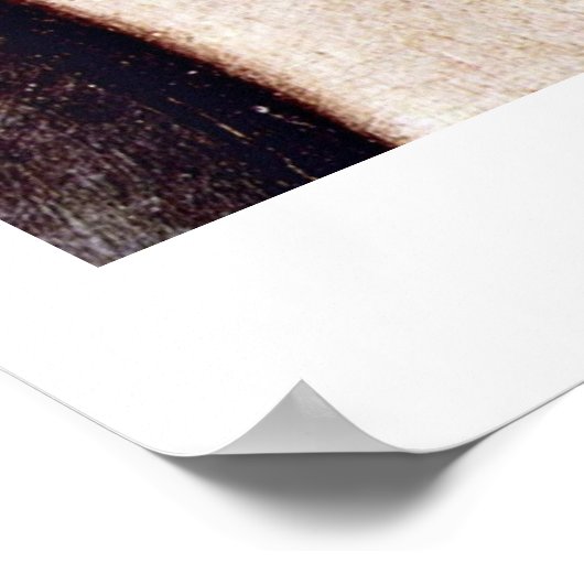 Jesus by Michelangelo Merisi Da Caravaggio Poster (Hoek)