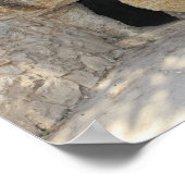 Jesus Open Tomb Israel Canvas print (Hoek)