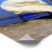 Jet d'Eau Poster (Hoek)