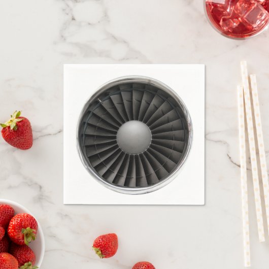 Jet Engine Turbine Fan Servetten (Insitu)