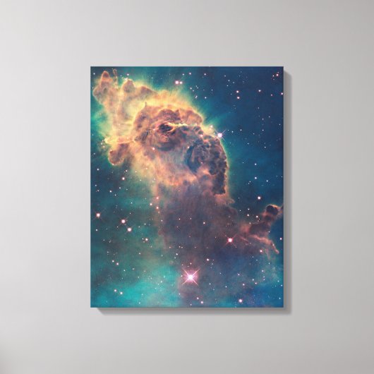 Jet in Carina Canvas Afdruk (Voorkant)