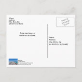 Jetée du milieu de Shell Island - Carte postale (Dos)