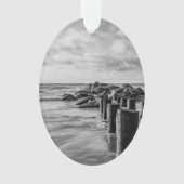 Jetée rêveuse en nuances de gris (devant)